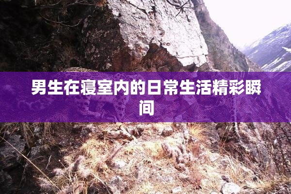 男生在寝室内的日常生活精彩瞬间