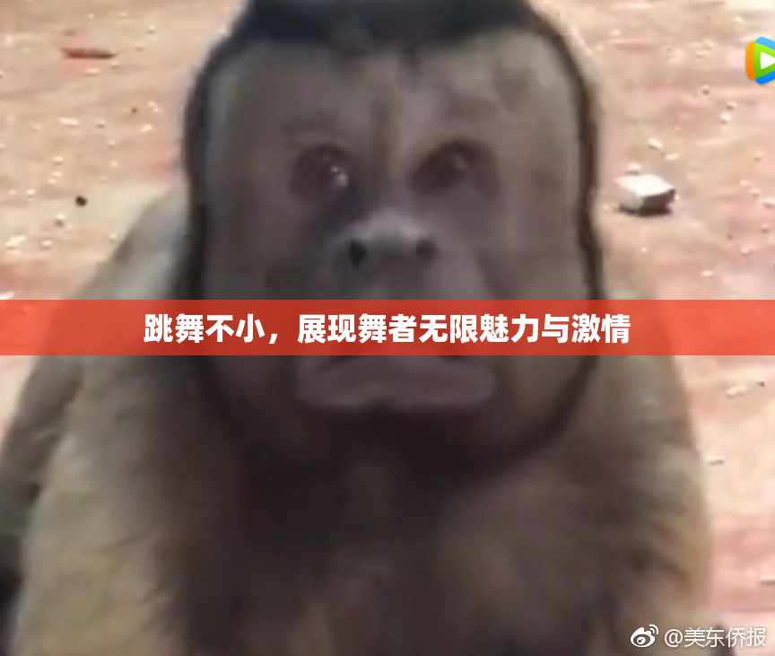 跳舞不小，展现舞者无限魅力与激情