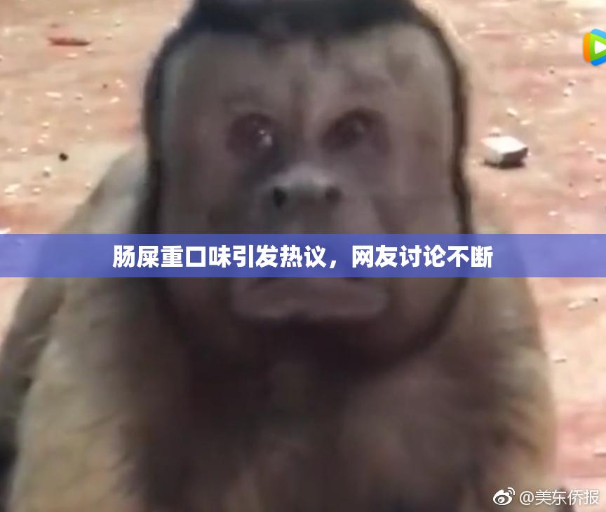 肠屎重口味引发热议，网友讨论不断