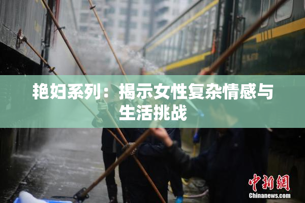 艳妇系列：揭示女性复杂情感与生活挑战