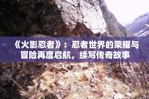 《火影忍者》：忍者世界的荣耀与冒险再度启航，续写传奇故事