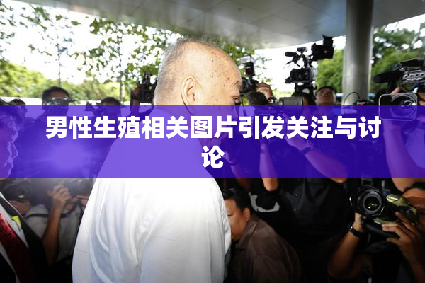 男性生殖相关图片引发关注与讨论
