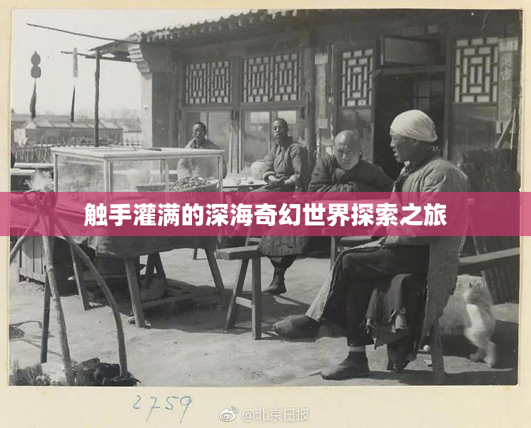 触手灌满的深海奇幻世界探索之旅