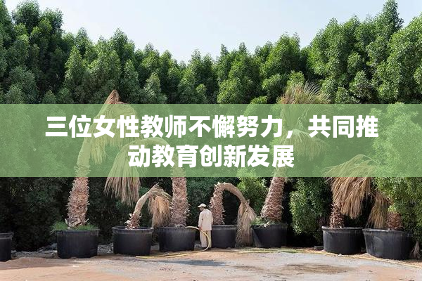 三位女性教师不懈努力，共同推动教育创新发展