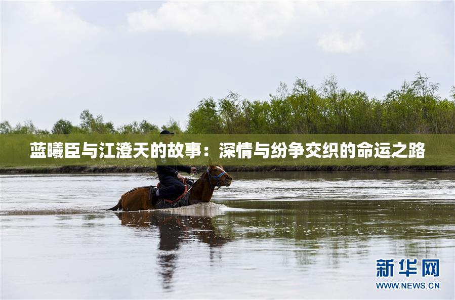蓝曦臣与江澄天的故事：深情与纷争交织的命运之路