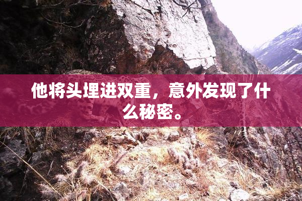 他将头埋进双重，意外发现了什么秘密。