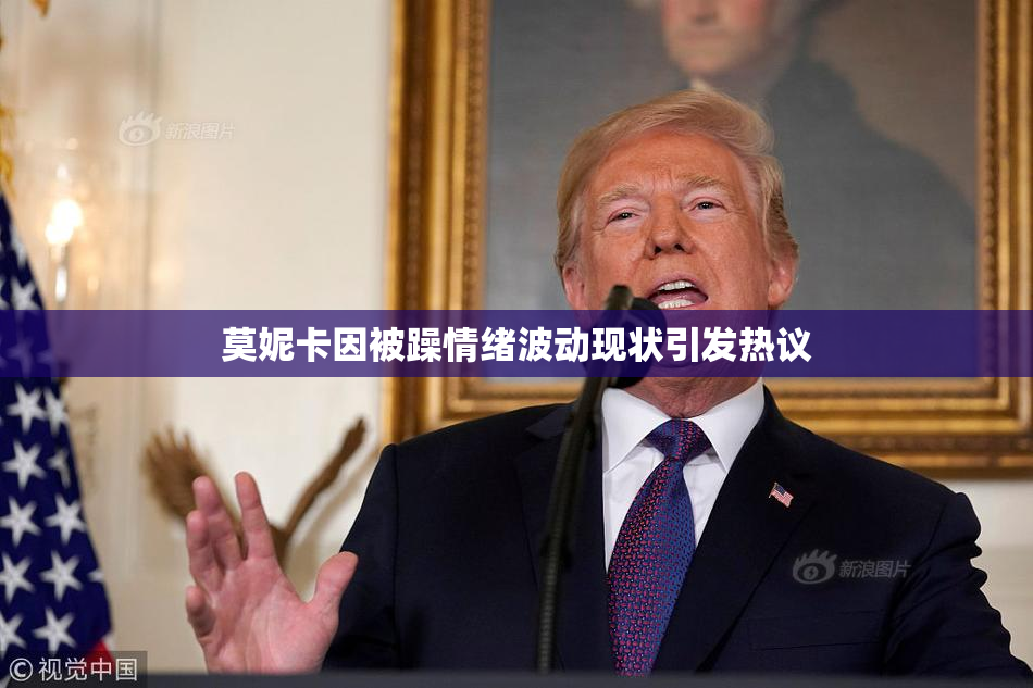 莫妮卡因被躁情绪波动现状引发热议