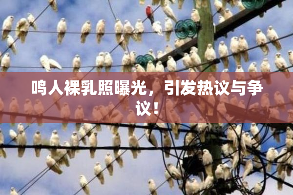 鸣人裸乳照曝光，引发热议与争议！