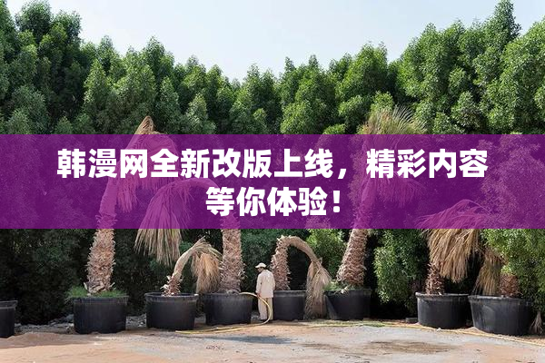 韩漫网全新改版上线，精彩内容等你体验！