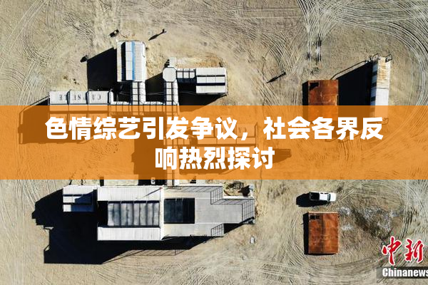 色情综艺引发争议，社会各界反响热烈探讨