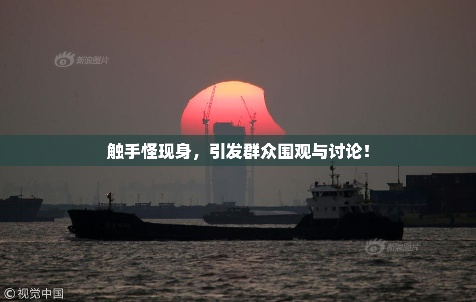 触手怪现身，引发群众围观与讨论！