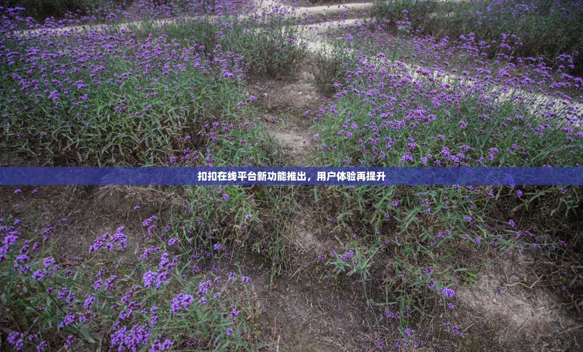 扣扣在线平台新功能推出，用户体验再提升