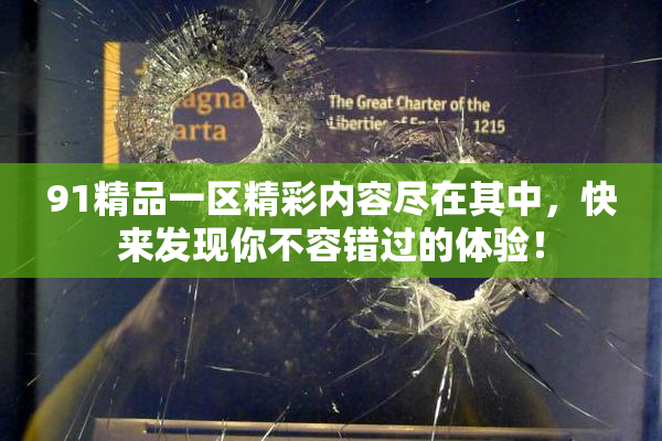 91精品一区精彩内容尽在其中，快来发现你不容错过的体验！