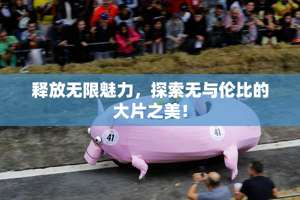 释放无限魅力，探索无与伦比的大片之美！