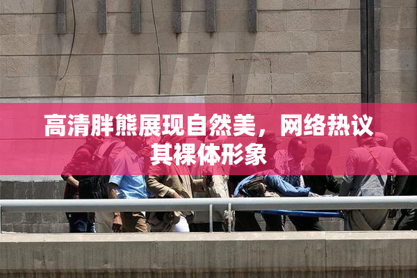 高清胖熊展现自然美，网络热议其裸体形象