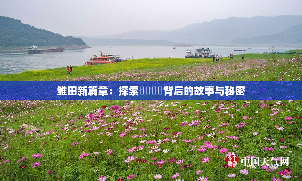 雏田新篇章：探索❌‌❌‌背后的故事与秘密
