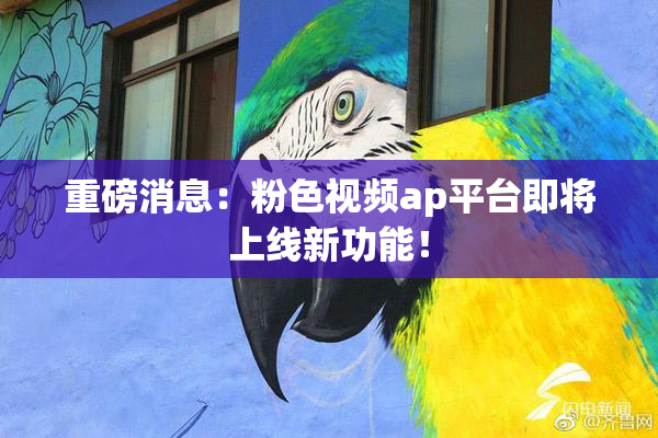 重磅消息：粉色视频ap平台即将上线新功能！
