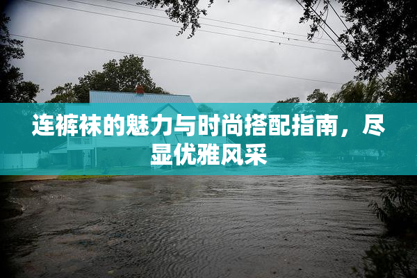 连裤袜的魅力与时尚搭配指南，尽显优雅风采