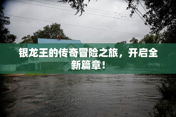 银龙王的传奇冒险之旅，开启全新篇章！