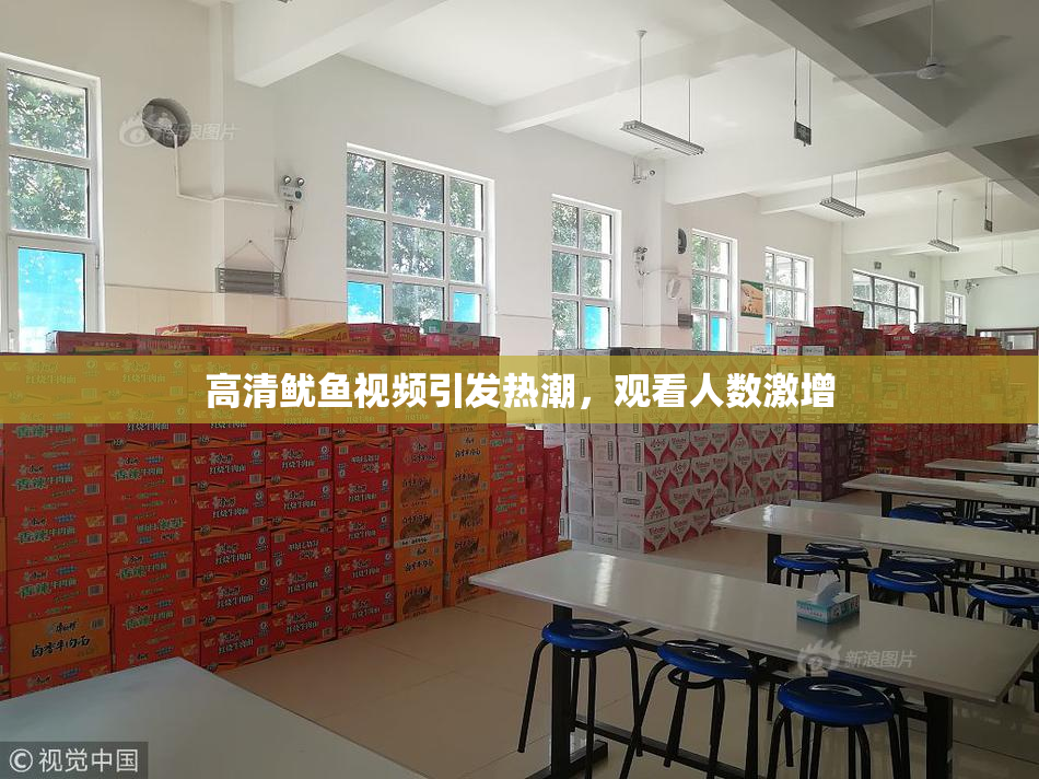 高清鱿鱼视频引发热潮，观看人数激增