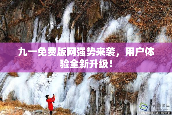 九一免费版网强势来袭，用户体验全新升级！