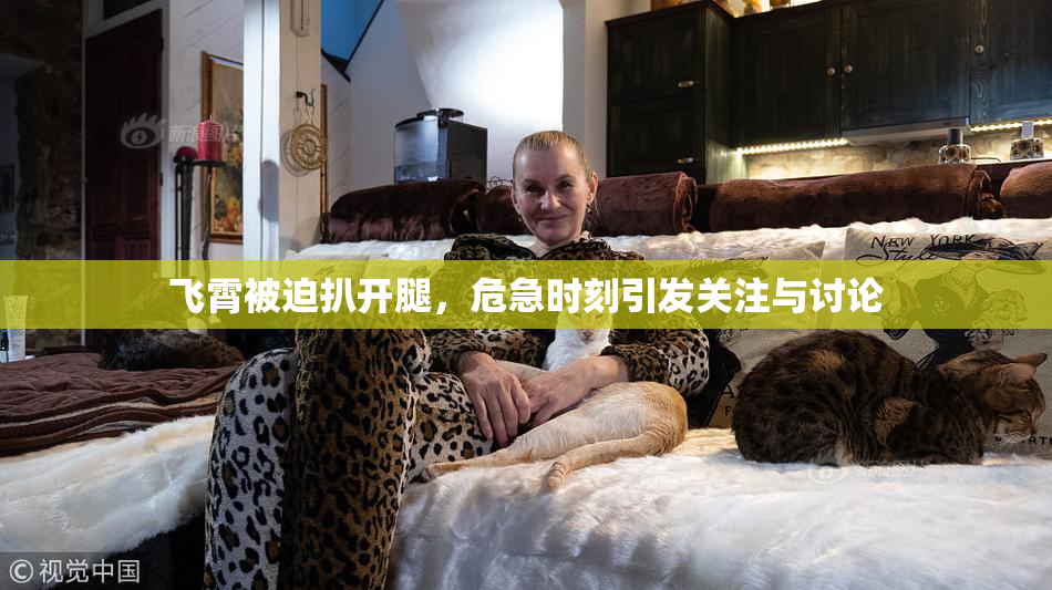 飞霄被迫扒开腿，危急时刻引发关注与讨论