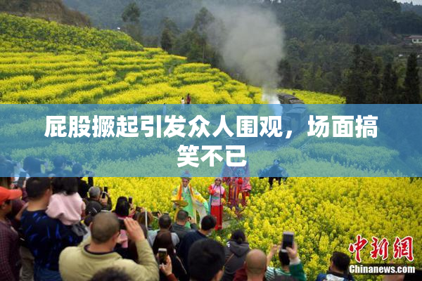 屁股撅起引发众人围观，场面搞笑不已