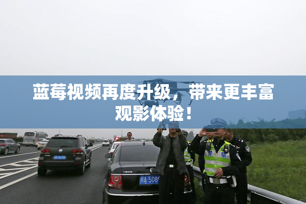 蓝莓视频再度升级，带来更丰富观影体验！