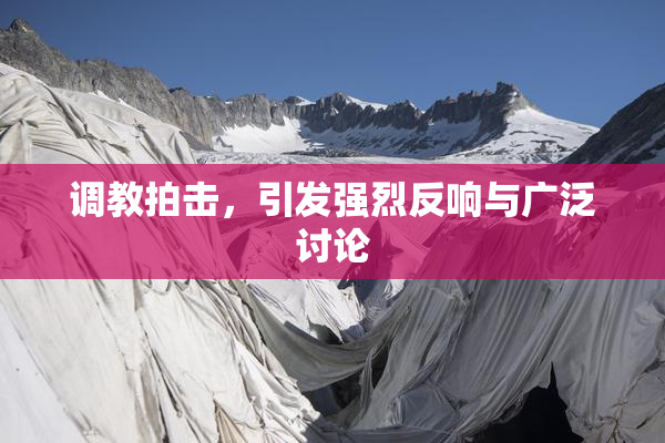 调教拍击，引发强烈反响与广泛讨论