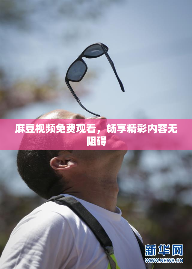 麻豆视频免费观看，畅享精彩内容无阻碍