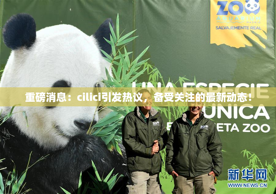 重磅消息：cilici引发热议，备受关注的最新动态！