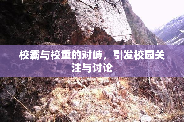 校霸与校重的对峙，引发校园关注与讨论
