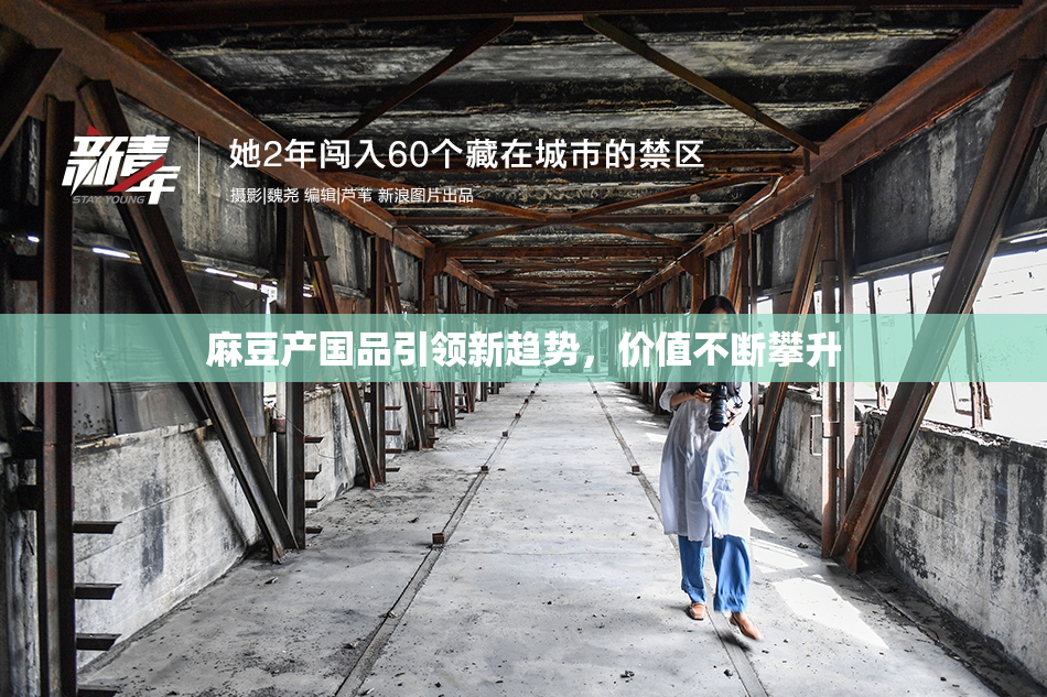 麻豆产国品引领新趋势，价值不断攀升