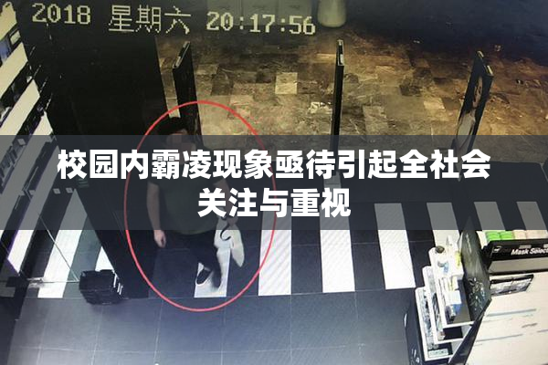 校园内霸凌现象亟待引起全社会关注与重视