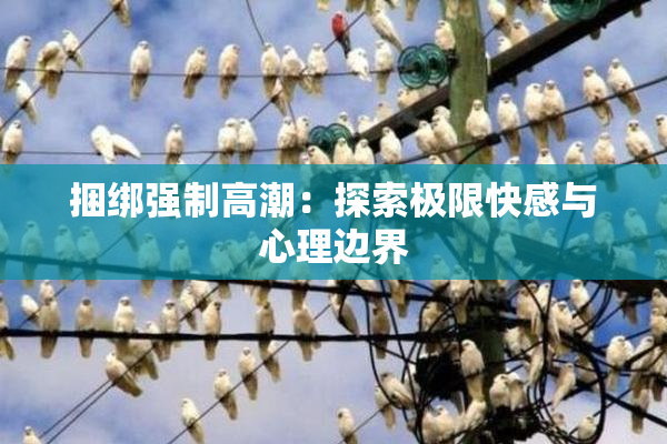 捆绑强制高潮：探索极限快感与心理边界