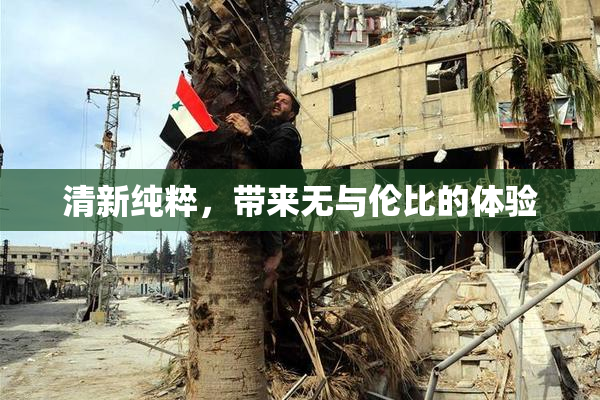 清新纯粹，带来无与伦比的体验