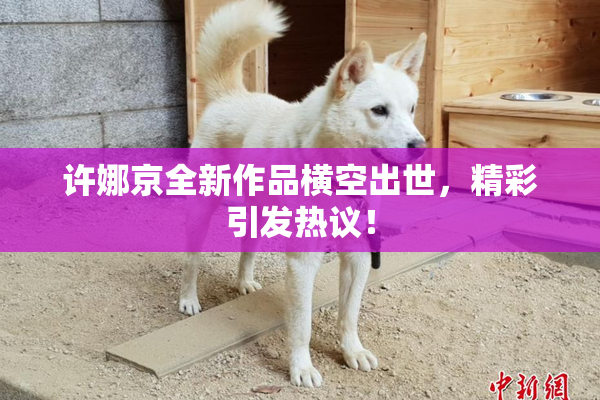 许娜京全新作品横空出世，精彩引发热议！
