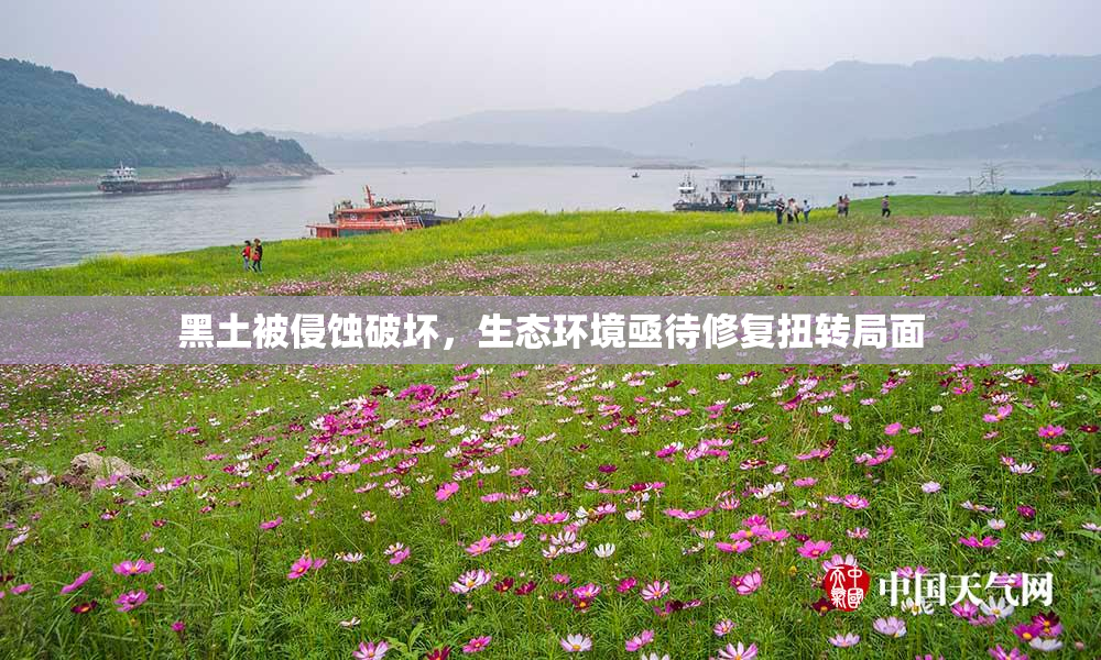 黑土被侵蚀破坏，生态环境亟待修复扭转局面
