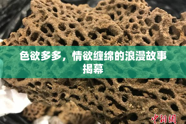 色欲多多，情欲缠绵的浪漫故事揭幕