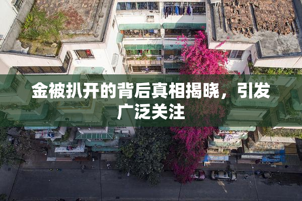 金被扒开的背后真相揭晓，引发广泛关注