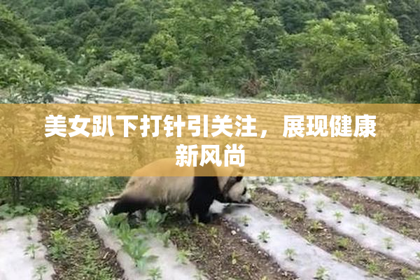 美女趴下打针引关注，展现健康新风尚