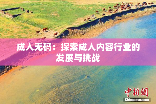 成人无码：探索成人内容行业的发展与挑战
