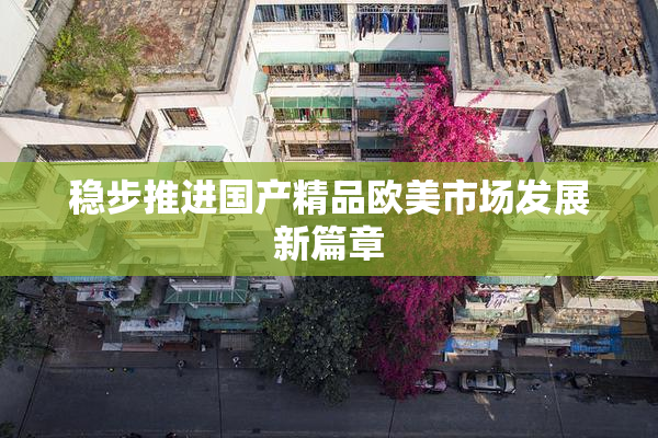 稳步推进国产精品欧美市场发展新篇章