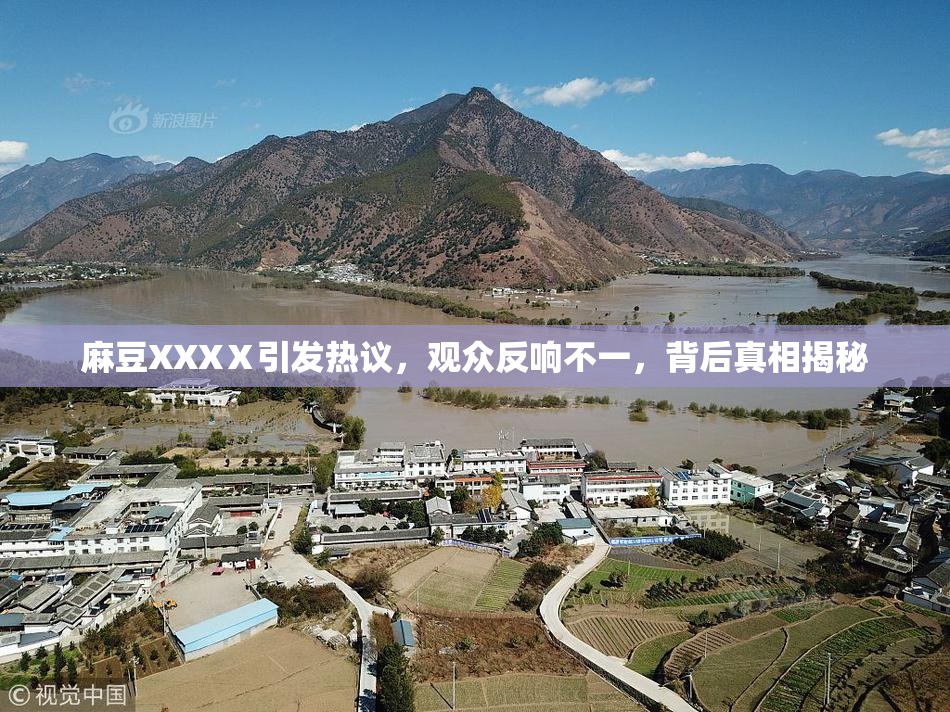 麻豆XXXⅩ引发热议，观众反响不一，背后真相揭秘