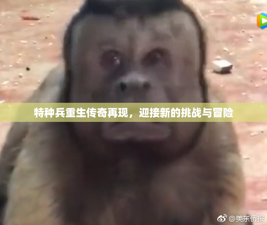 特种兵重生传奇再现，迎接新的挑战与冒险