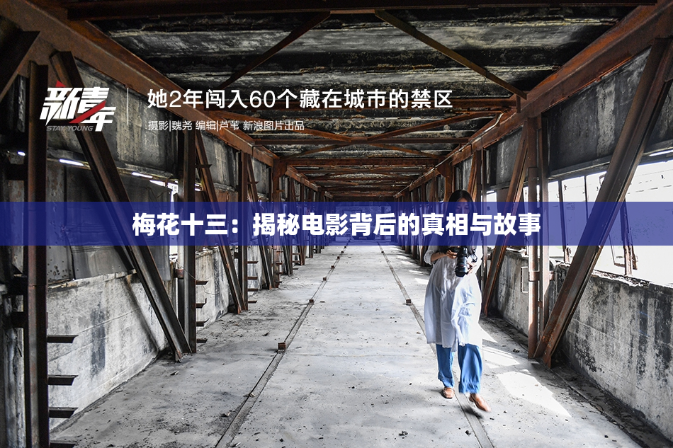 梅花十三：揭秘电影背后的真相与故事
