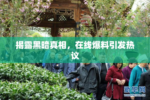 揭露黑暗真相，在线爆料引发热议