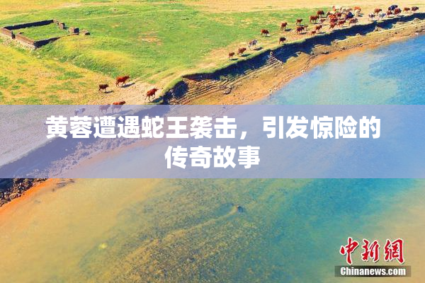 黄蓉遭遇蛇王袭击，引发惊险的传奇故事