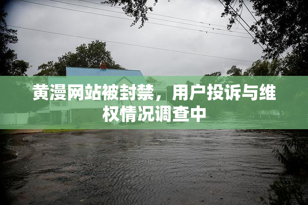 黄漫网站被封禁，用户投诉与维权情况调查中