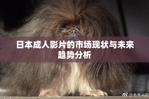日本成人影片的市场现状与未来趋势分析